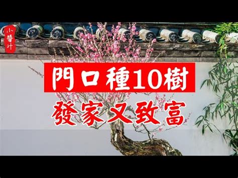 門口招財植物|【門口植物】想招財旺運就擺對門口植物！風水達人曝5大秘技，。